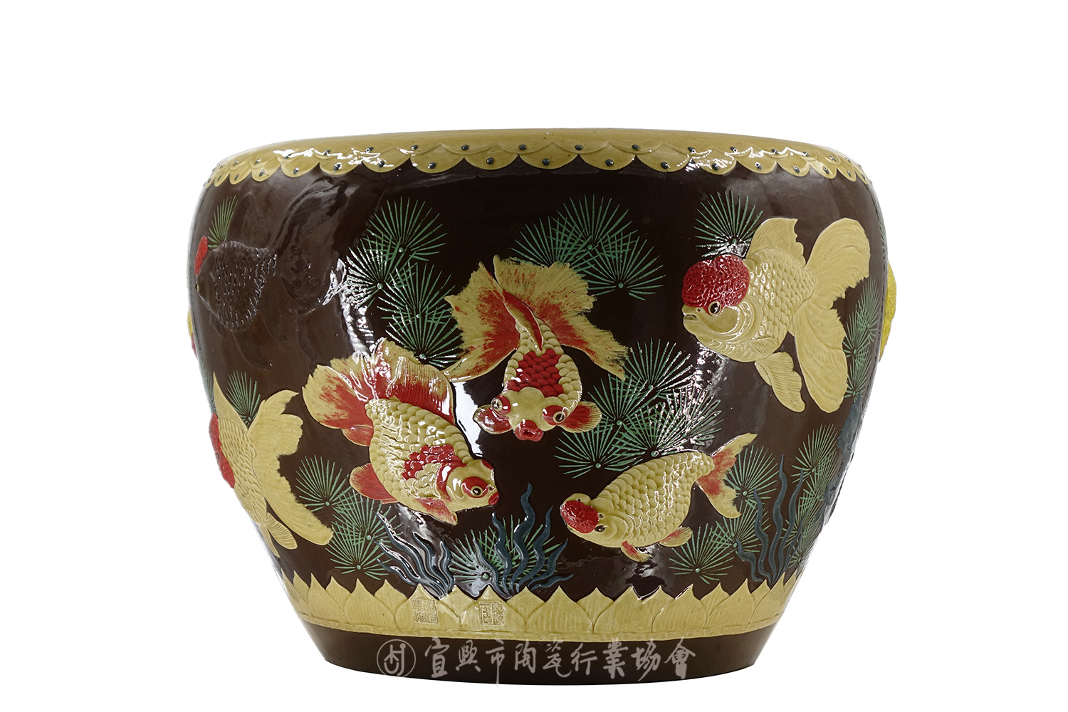 鱼趣 gai.jpg