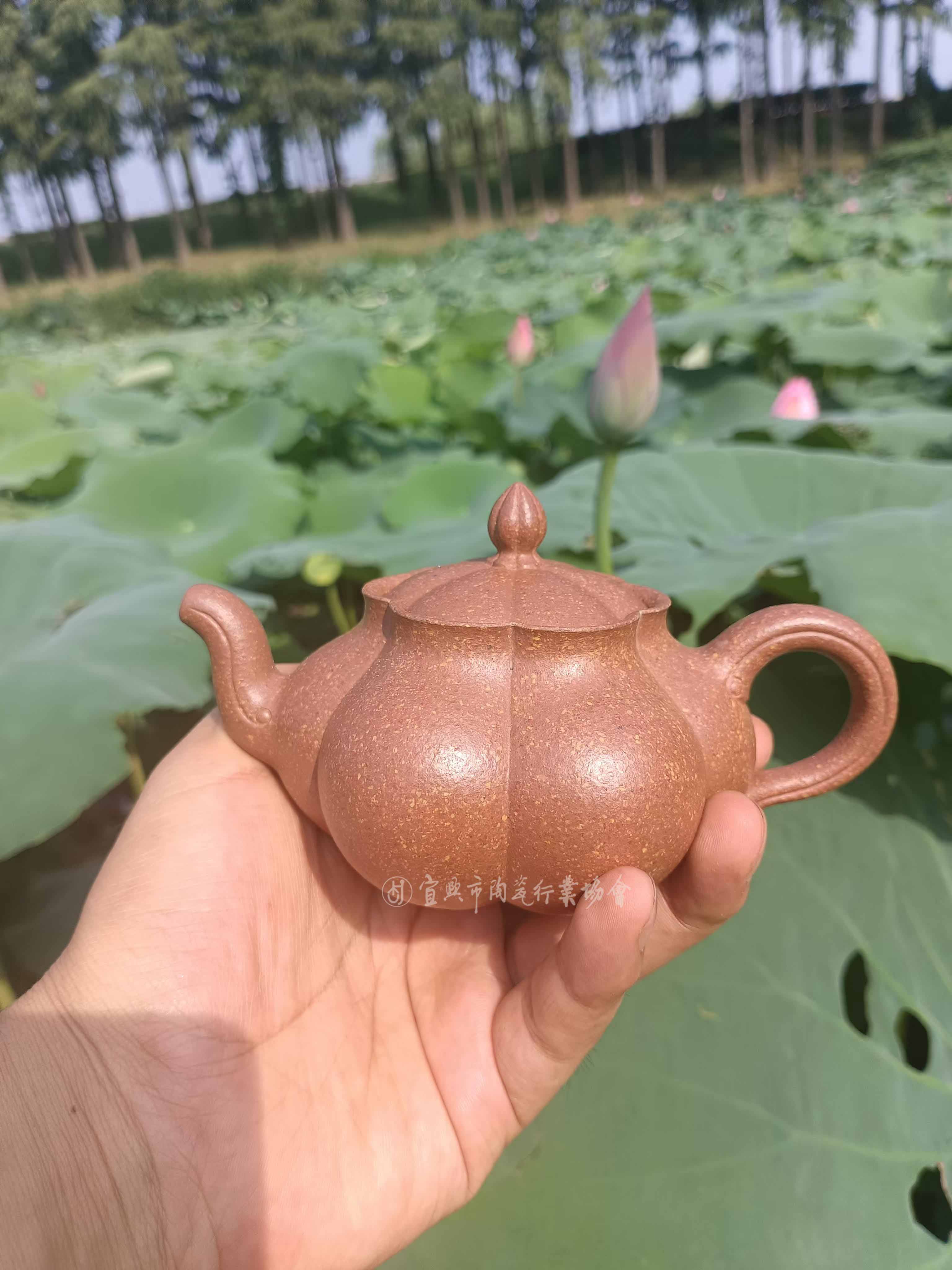 微信图片_20250103083512.jpg